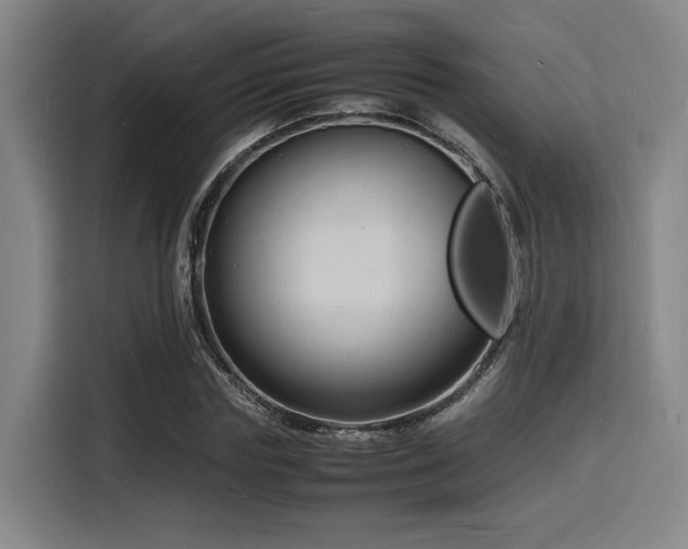 X0000116140827200911231309