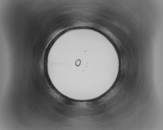 X0000116140828200911231309