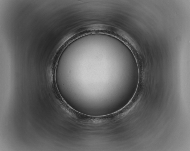 X0000116140829200911231309