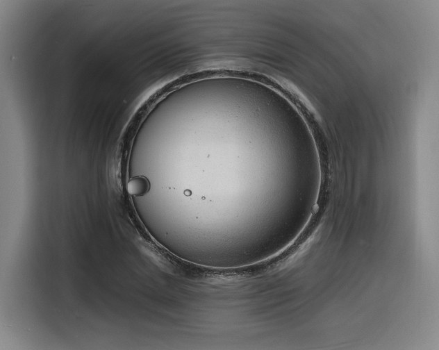 X0000116140830200911231309