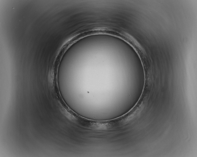 X0000116140831200911231309