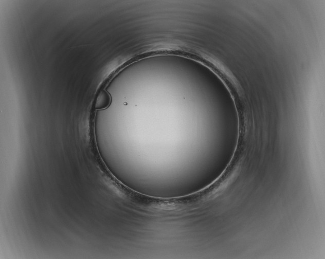 X0000116140834200911231309
