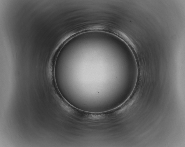 X0000116140835200911231309