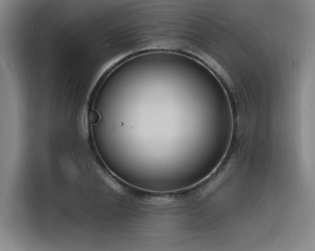 X0000116140838200911231309
