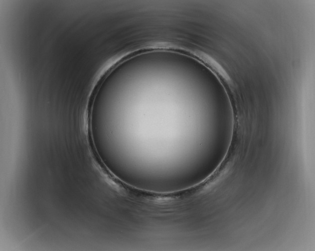 X0000116140839200911231309