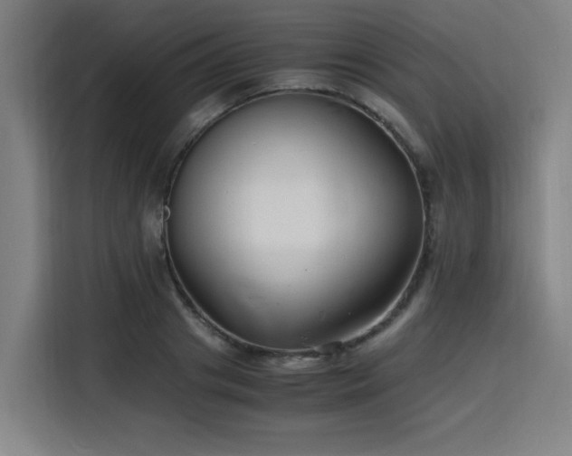 X0000116140841200911231309