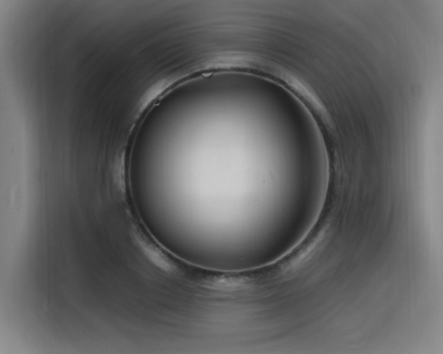 X0000116140842200911231309
