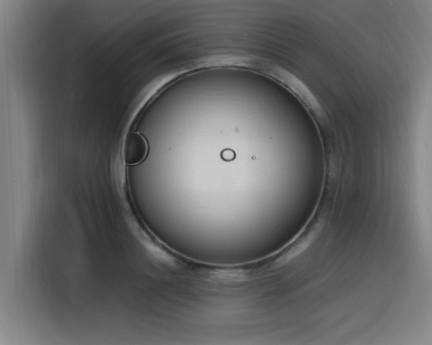 X0000116140844200911231309