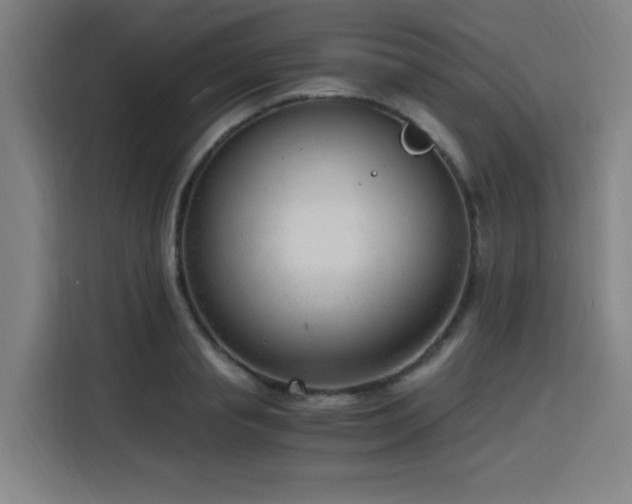 X0000116140845200911231309