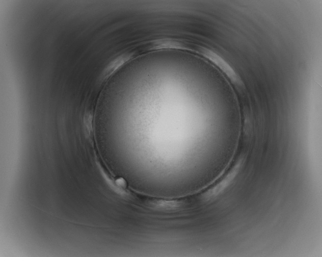 X0000116140849200911231309