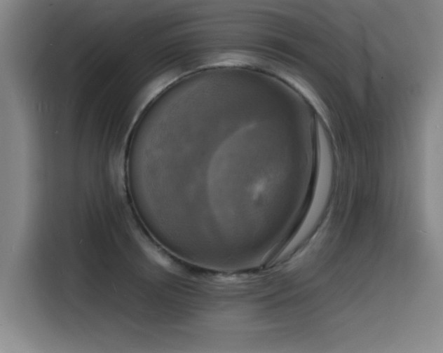 X0000116140850200911231309