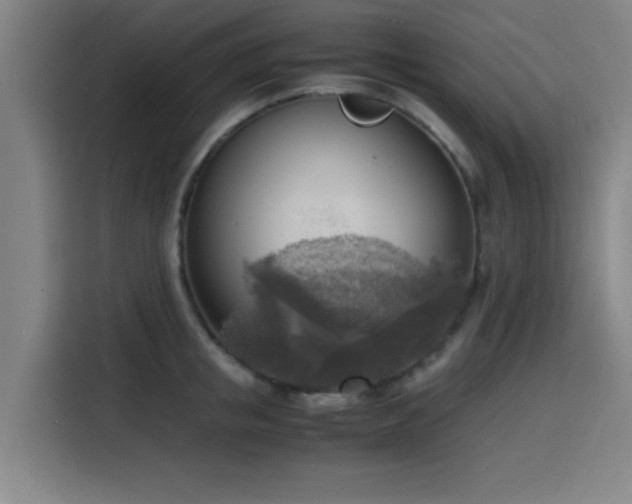 X0000116140853200911231309
