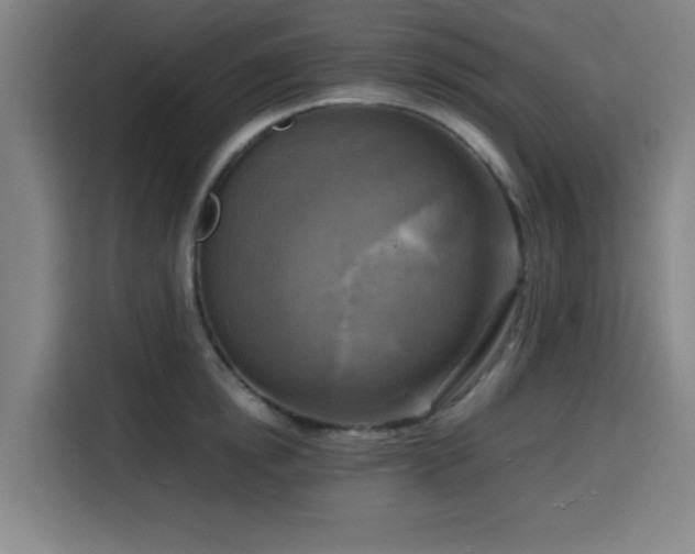 X0000116140854200911231309