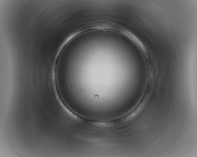 X0000116140855200911231309