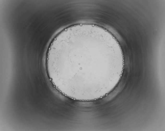 X0000116140856200911231309
