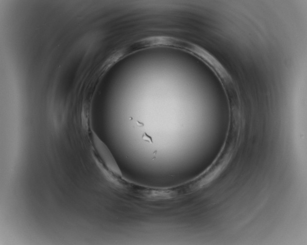 X0000116140857200911231309