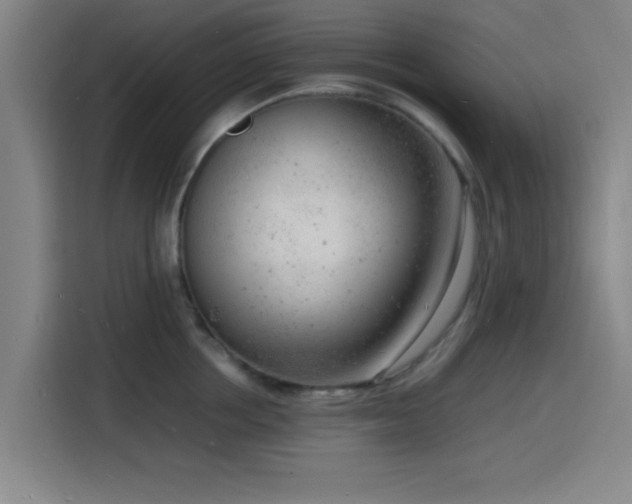 X0000116140858200911231309