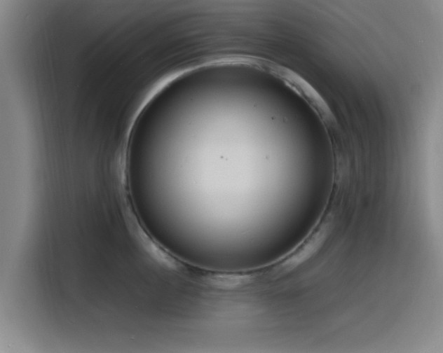 X0000116140860200911231309
