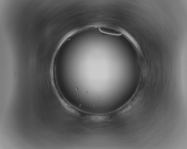 X0000116140861200911231309