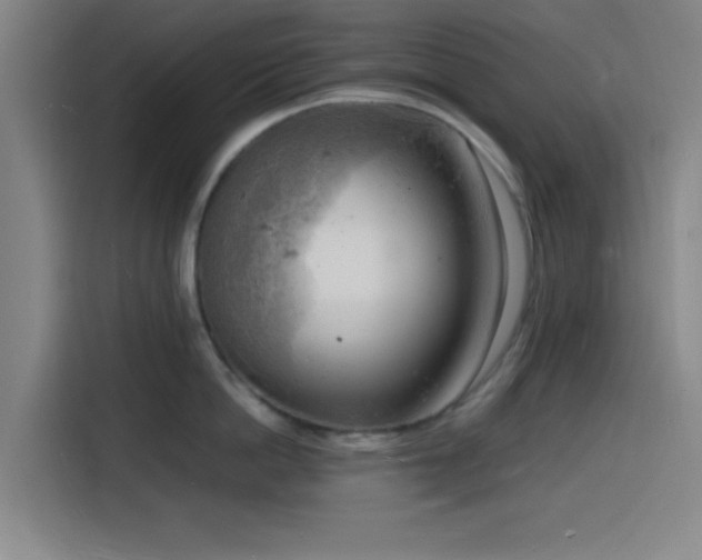 X0000116140862200911231309