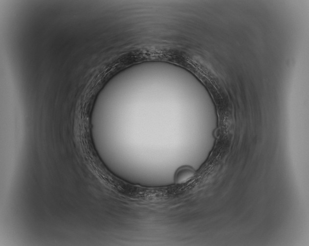 X0000116140865200911231309