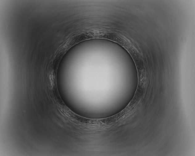 X0000116140866200911231309