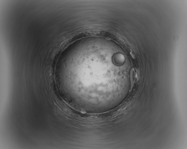X0000116140867200911231309