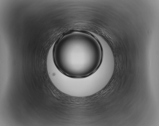 X0000116140868200911231309