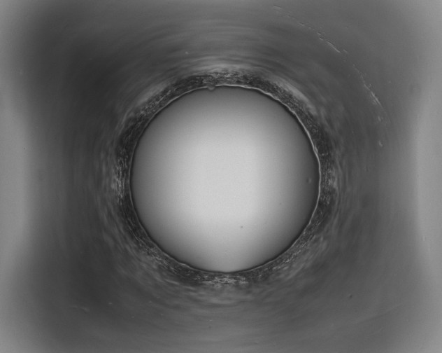 X0000116140869200911231309