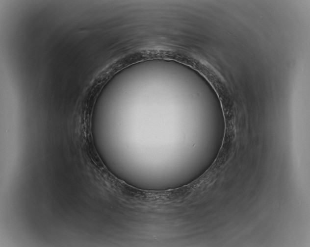 X0000116140870200911231309