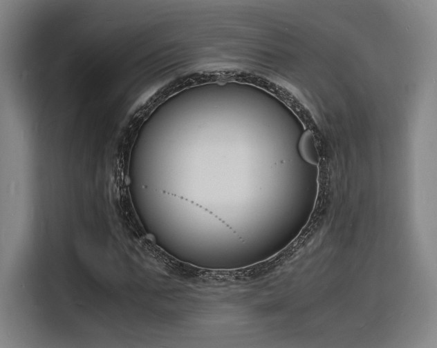 X0000116140871200911231309