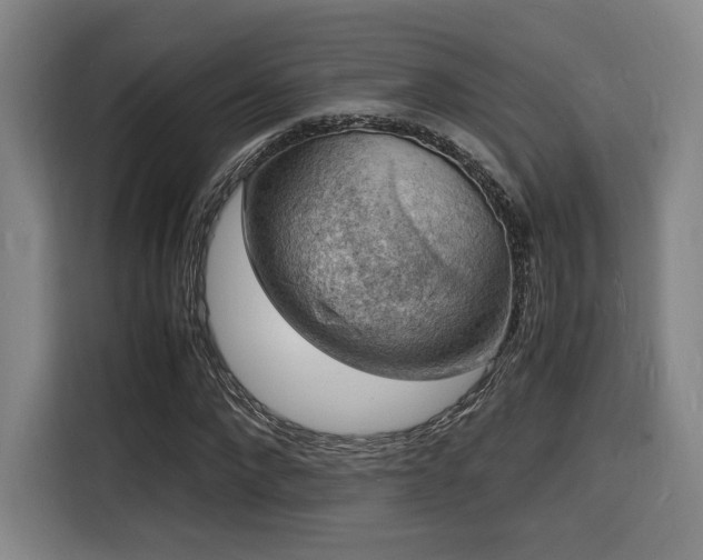 X0000116140872200911231309