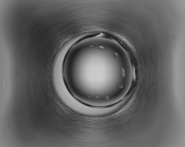 X0000116140873200911231309