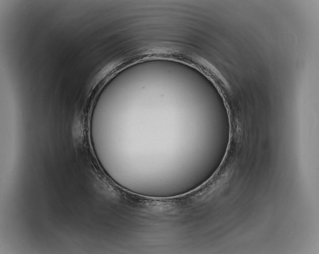 X0000116140874200911231309