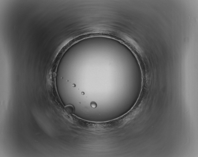 X0000116140875200911231309