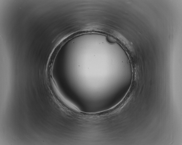 X0000116140876200911231309