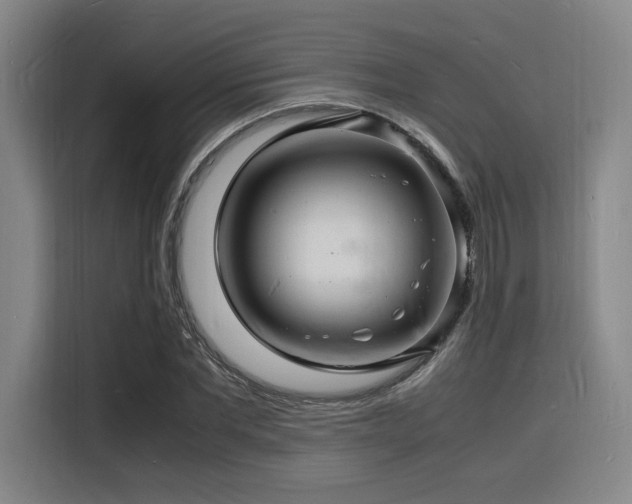 X0000116140877200911231309