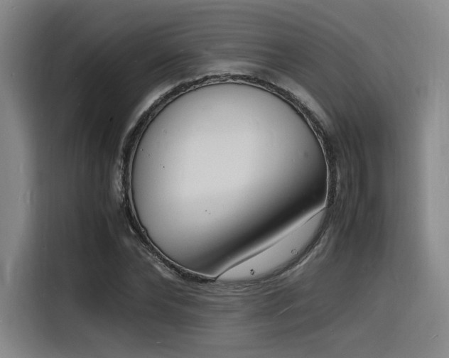 X0000116140878200911231309