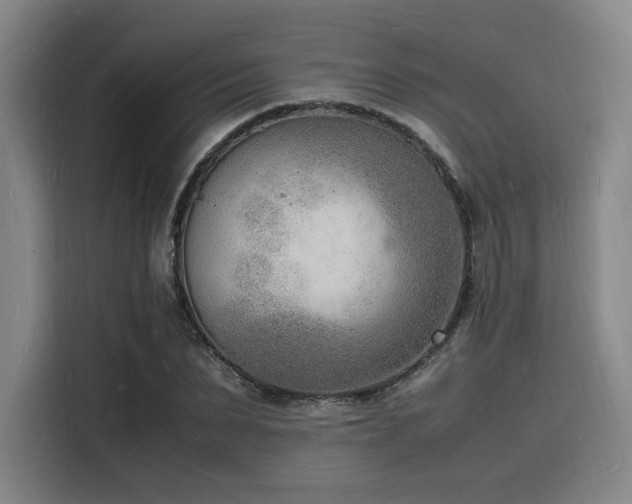 X0000116140879200911231309