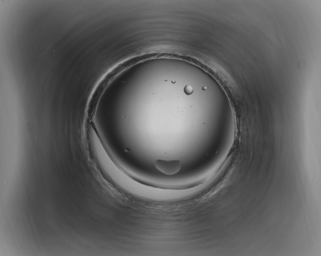 X0000116140880200911231309