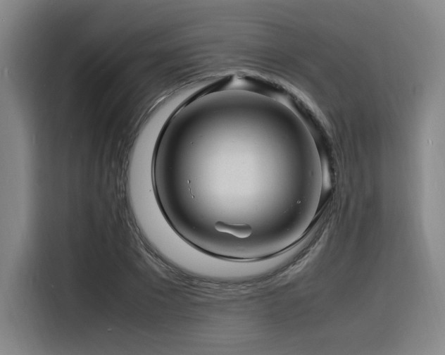 X0000116140881200911231309