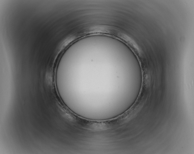 X0000116140882200911231309