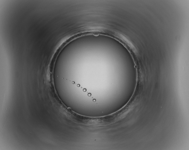 X0000116140883200911231309