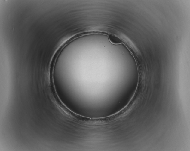 X0000116140884200911231309