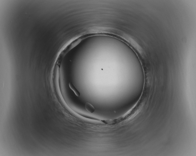 X0000116140885200911231309