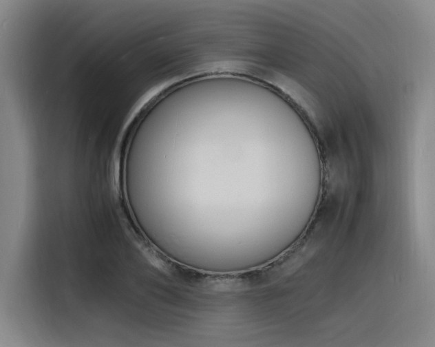 X0000116140886200911231309
