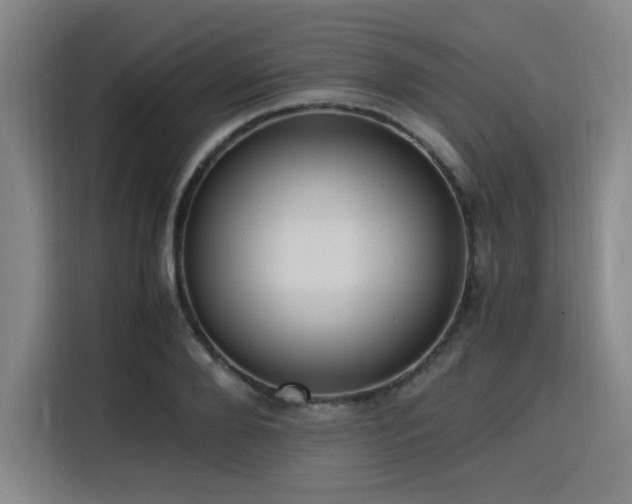 X0000116140888200911231309