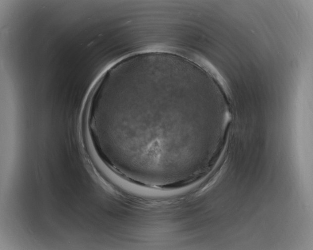 X0000116140892200911231309