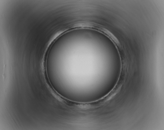 X0000116140893200911231309