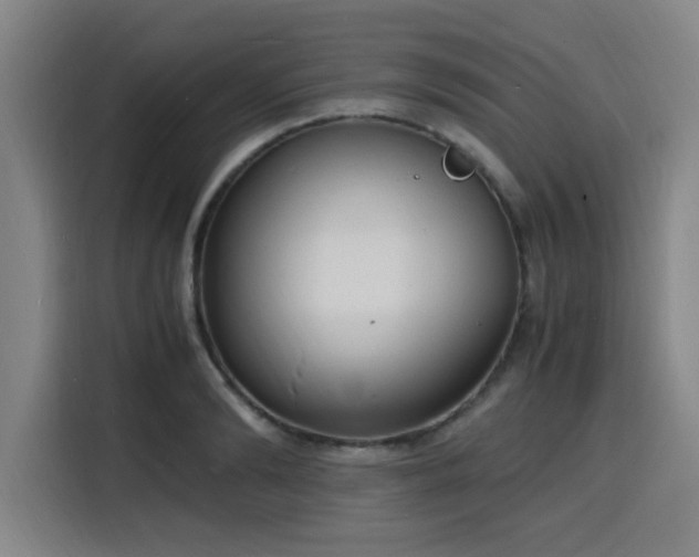 X0000116140894200911231308